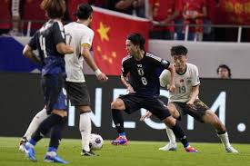 在国内外青